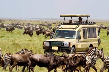 5 Days Tsavo East, Tsavo West & Amboseli Private Wildlife Safari from Mombasa