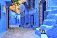 Chefchaouen trip from Tangier 4