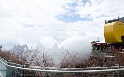 Langkawi Private Tour With Cable Car Plus Eagle Nest’s Sky Walk