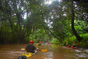Kayaking Adventure in Chiang Dao Jungle, Chiang Mai