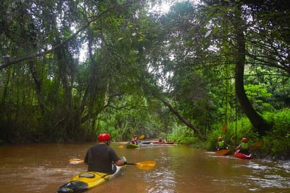 Kayaking Adventure in Chiang Dao Jungle, Chiang Mai