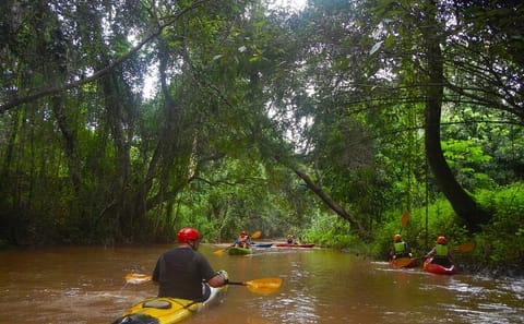Kayaking Adventure in Chiang Dao Jungle, Chiang Mai
