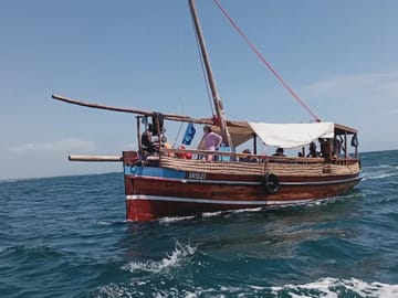 Kisite-Mpunguti Marine National Park Full Day Tour in Kenya