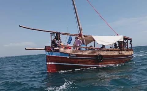 Kisite-Mpunguti Marine National Park Full Day Tour in Kenya