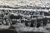 From Beijing: Private Xian Day Tour by Bullet Train & Flight  7