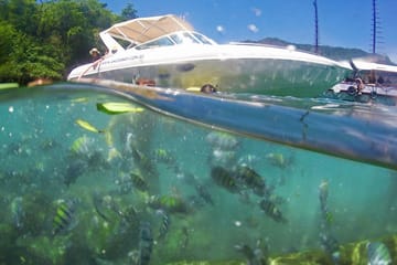 Sailing Tour to Lopes Mendes Beach in Angra dos Reis