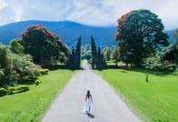 Northern Charm: Lake Bratan, Handara Gate, Waterfall & Swing 2