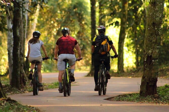 Jungle Wildlife Bike Tour to Iguazu National Park & Jaguar Road 10