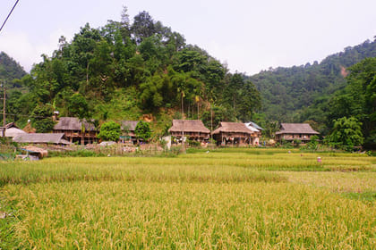 Vietnam Northern Loop 7 days 6 nights