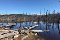 7-Hour Lakes Escondido & Fagnano - Ushuaia ( Shared Tour ) 5