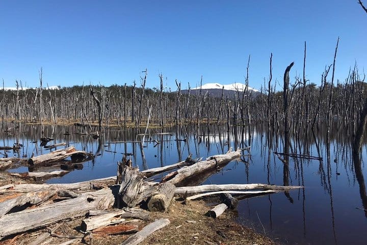 7-Hour Lakes Escondido & Fagnano - Ushuaia ( Shared Tour ) 5