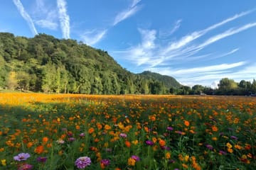 Yelang Valley and Huaxi Shili River Beach Tour in Guiyang