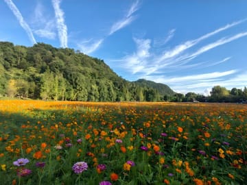 Guiyang: Yelang Valley & Huaxi Shili River Beach Tour
