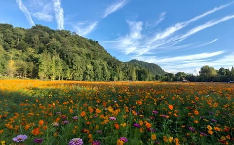 Yelang Valley and Huaxi Shili River Beach Tour in Guiyang