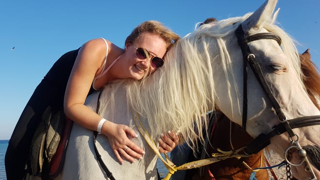 Premium 2 Hours Horse Riding, Desert Trail & Sea Beach - Hurghada photo 3