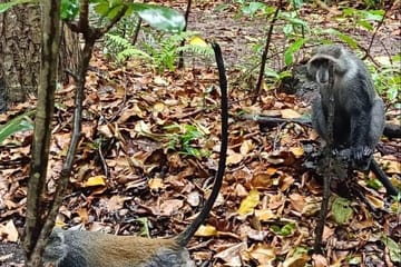 Zanzibar Private 5 Day Minivan Tour