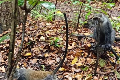 Zanzibar Private 5 Day Minivan Tour