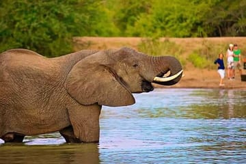 11 Days Kenya Safari Tour on 4×4 Landcruiser Jeep