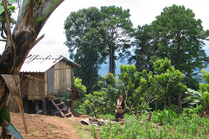 Chiang mai Suthep National Park Leisure Hiking & Mountain Biking