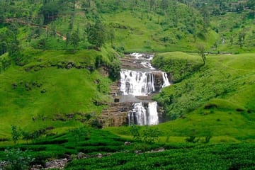 Nuwara Eliya Day Tour with Tea Factory and Botanical Gardens