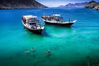 Dubai : The Amazing Khasab Dolphin Watching Day Tour with Snorkeling & Lunch 4