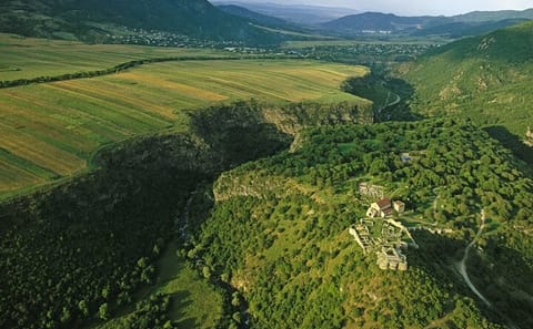 Private Full-Day Tour of Bolnisi Sioni Church and Dmanisi