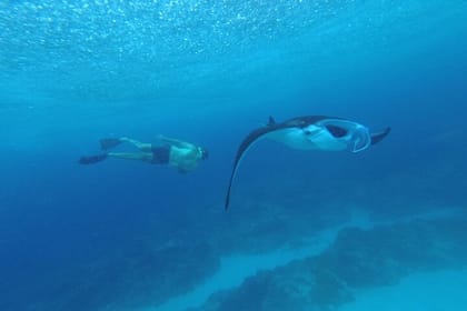 Nusa Penida Snorkling Package