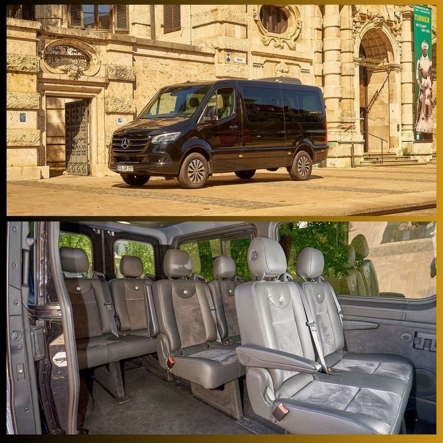 Half day tour Neuschwanstein castle mini bus personal driver