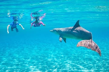 Snorkeling Tour at Dolphin House in Hurghada, Egypt