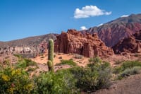 4 Days in Northern Argentina: Optional Train to the Clouds 9
