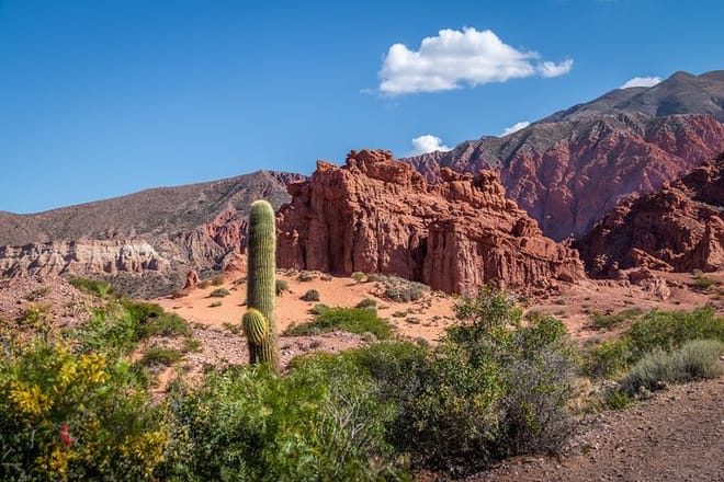 4 Days in Northern Argentina: Optional Train to the Clouds 9