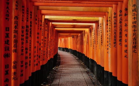 Kyoto Top Highlights 1 Day Bus Tour with Geisha Show Included