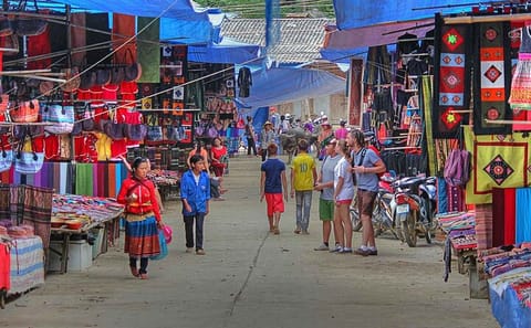 Sapa and Bac Ha Market 2-Day Tour from Hanoi
