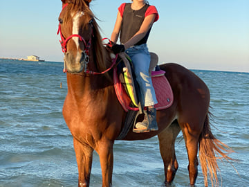 Horseback Riding Adventure in Hurghada