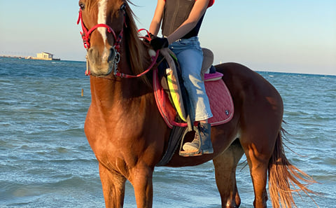 Horseback Riding Adventure in Hurghada