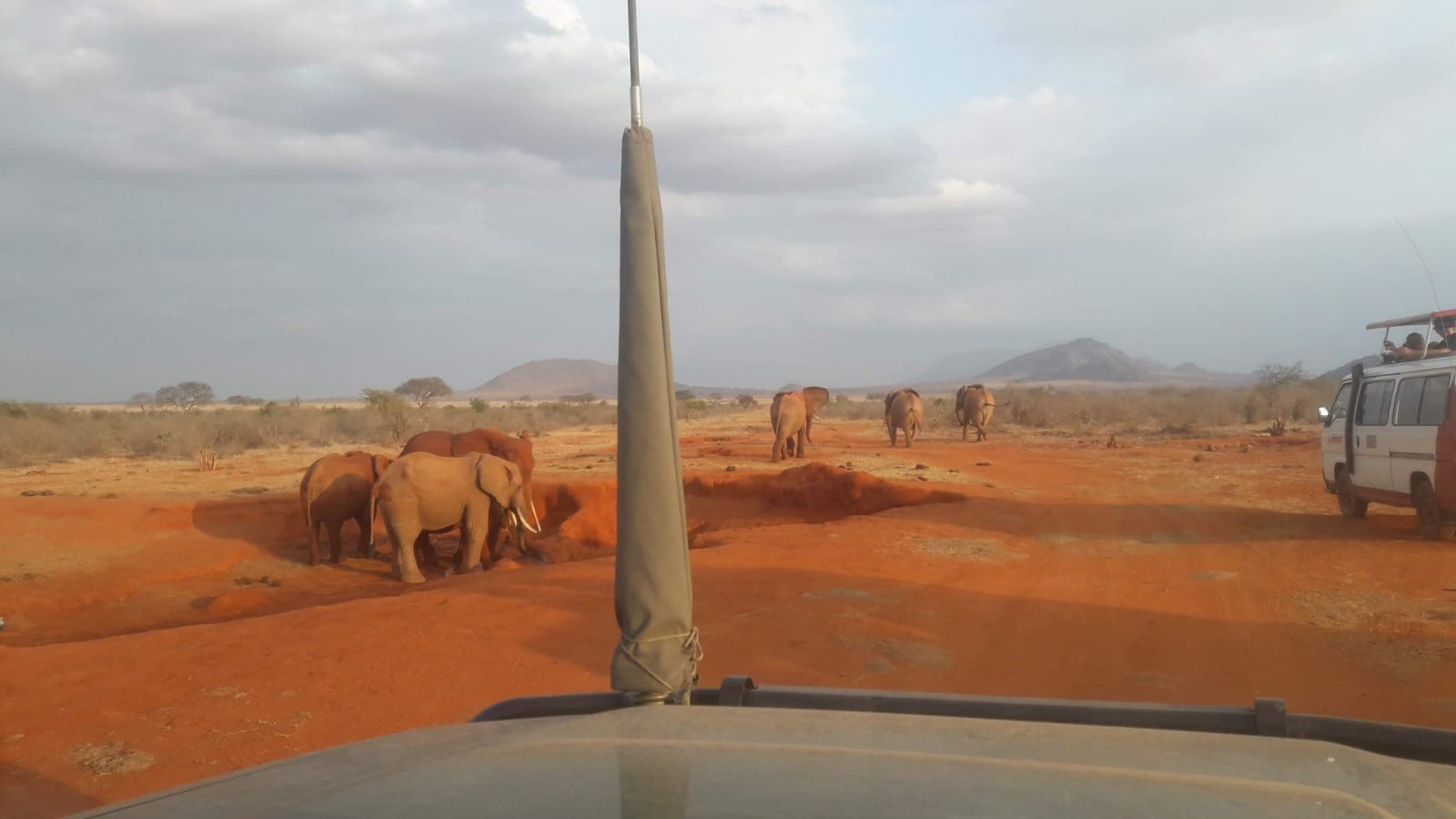 salt-lick -lodge-Tsavo-Park -elephants