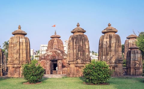 Cultural and Wildlife Tour from Bhubaneswar to Nagpur