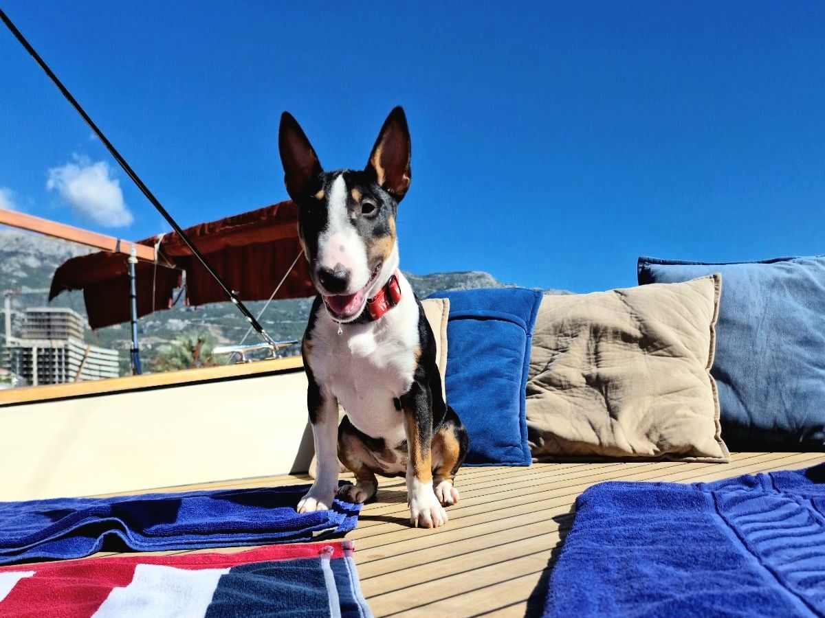 Discover the secluded Queens and Kings beaches, once reserved for royalty along the Riviera.