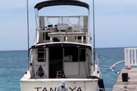 Private Deep Sea Fishing in Montego Bay  7