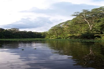 Three-Day Jungle Lodge Tour in Pacaya Samiria, Iquitos
