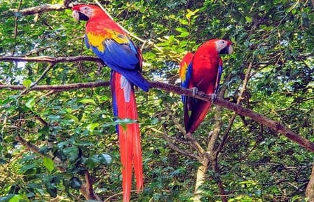 Private Nature and Culture Tour in Roatan, Honduras