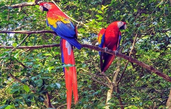 From Winter to Roatan Summer Vibes Private Tour