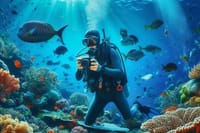 Diving and Snorkeling Day Trip By VIP Boat From Hurghada 2