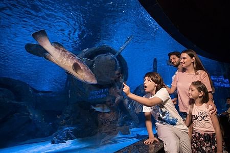 Antalya Aquarium Adventure: Explore Marine Wonders & Roundtrip Transfer