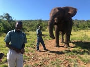 Professional Guides with Johannesburg Safari
