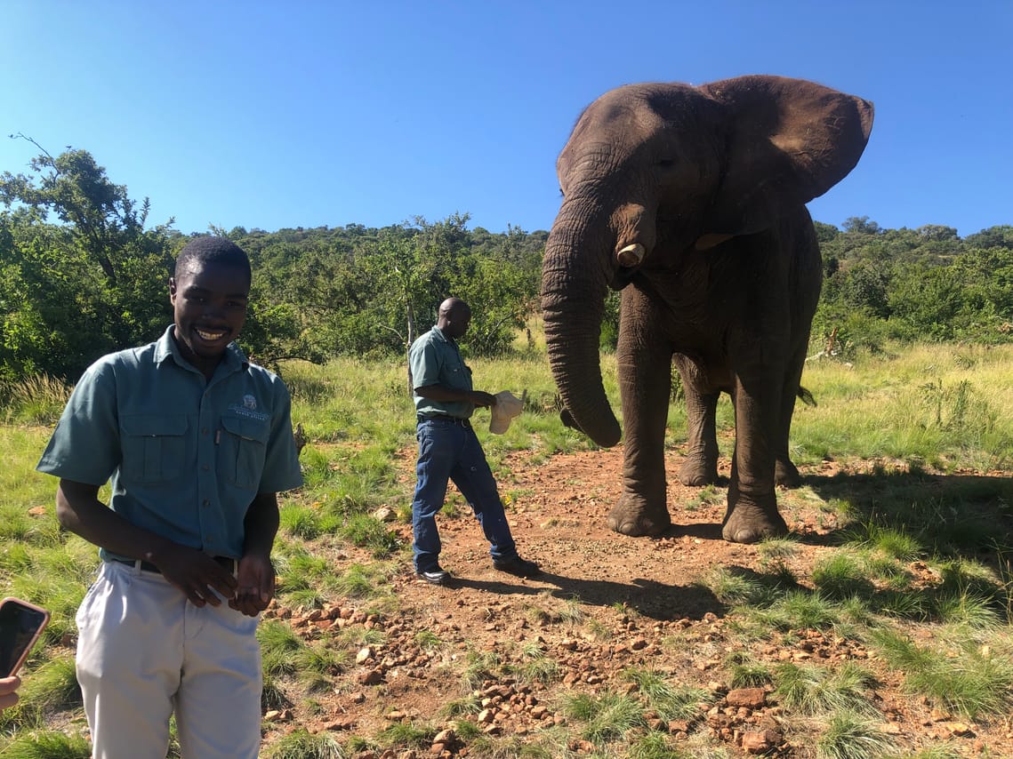 Professional Guides with Johannesburg Safari