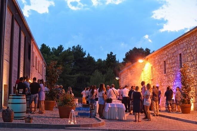 Private Korcula wine tour and tasting  - Photo 5