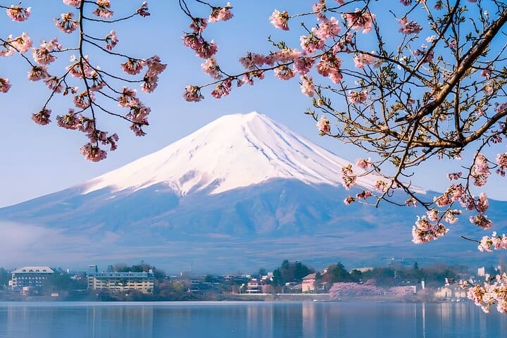 Tokyo Mt Fuji & Kawaguchiko Ropeway & Matcha Tea Group Trip