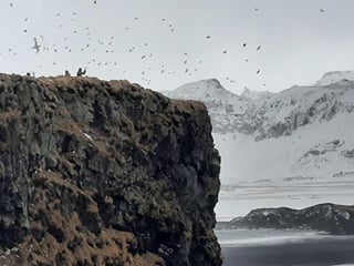 Private South Coast and Glacier Lagoon Day Tour , photo 10