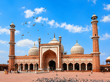 Delhi: Private Old and New Delhi Full or Half-Day Tour